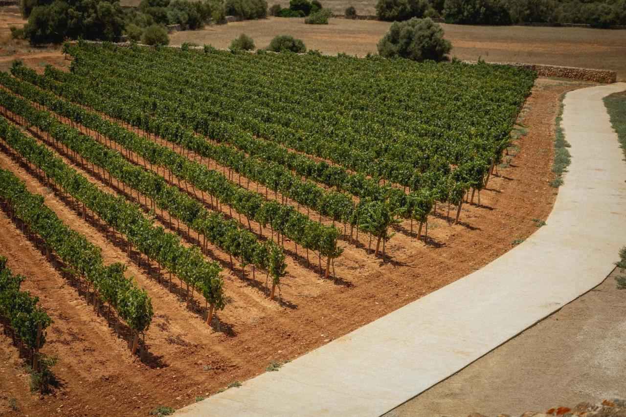 Finca Gomera By Itinerem - Adults Only לןקמאג'ור מראה חיצוני תמונה
